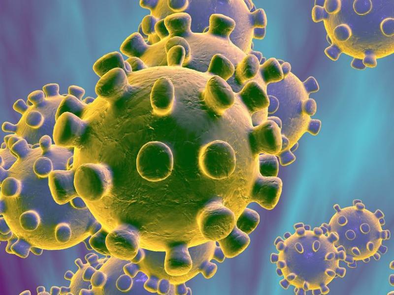 Coronavirus: A monstrous “Zombie”